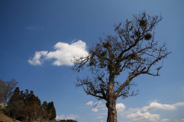 Tokina 11-16和Sigma 17-70 不專業開箱分享