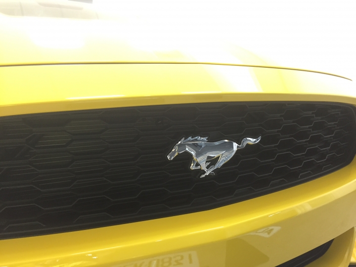 50年的經典傳奇. 2015 野馬 Mustang 簡易開箱分享