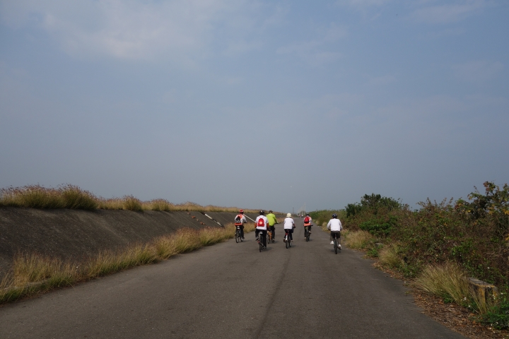 2015年,唸戀學甲之蜀葵花季小旅行,
