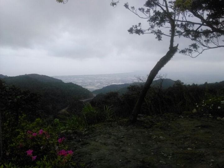 身障者20150228環台挑戰