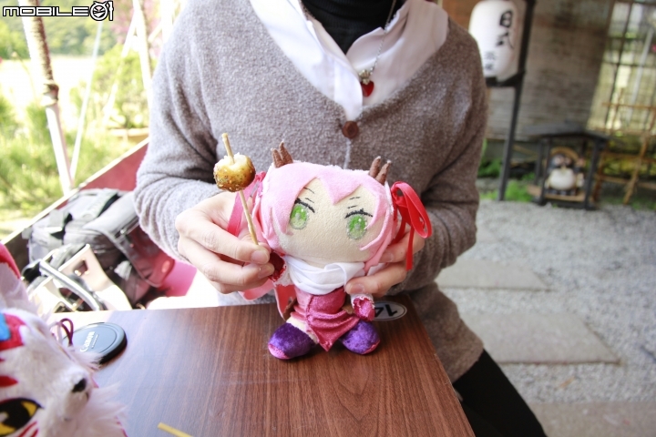 海芋花季一時遊(?)