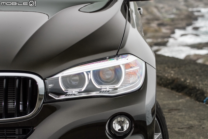 全新物種再進化 BMW X6 xDrive30d