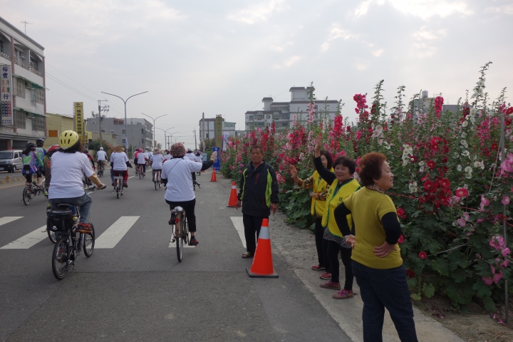 2015年,唸戀學甲之蜀葵花季小旅行,