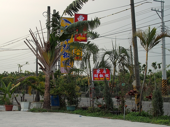 彩稻藝術節附近唯一美食餐廳:東岸胡椒蝦