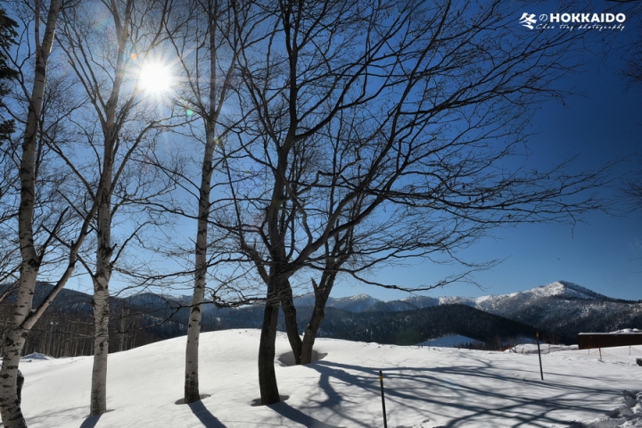 【D750 + D700】2015 冬の北海道~(圖多)