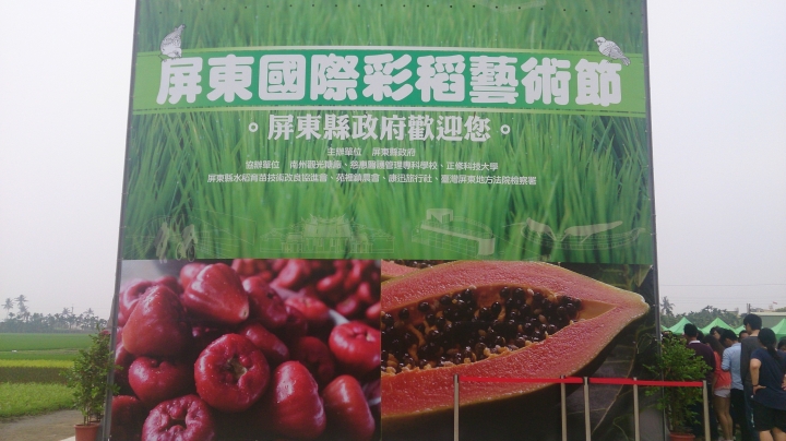 屏東國際彩稻藝術節