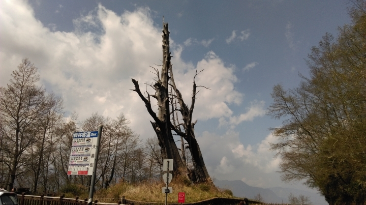 新中橫阿里山獨走