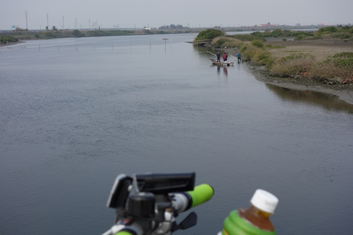 2015年,唸戀學甲之蜀葵花季小旅行,