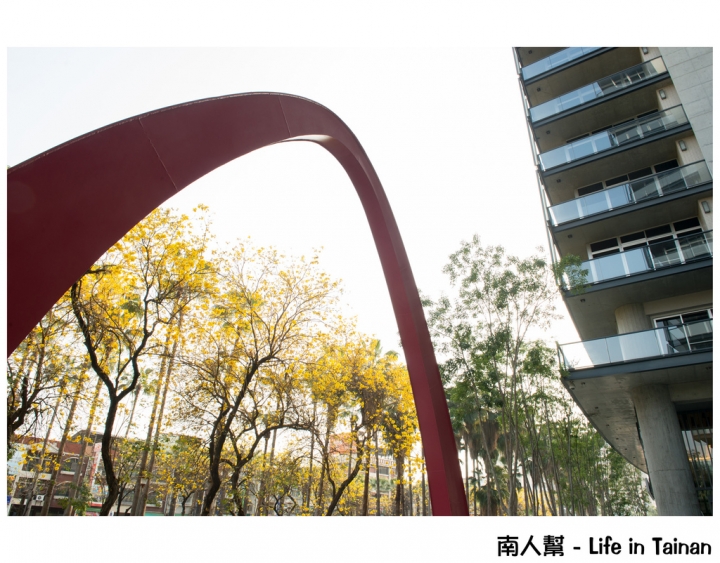 【台南市東區-風景】黃風鈴木(林森路與長榮路口)