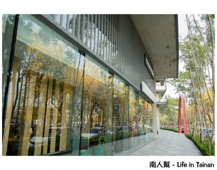 【台南市東區-風景】黃風鈴木(林森路與長榮路口)