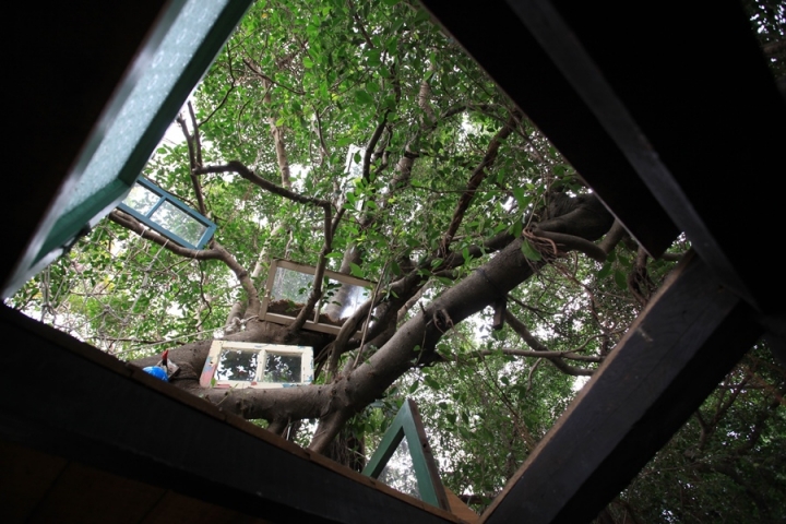 台南仁德區-【二空樹屋】圓一個永不忘記的眷村夢