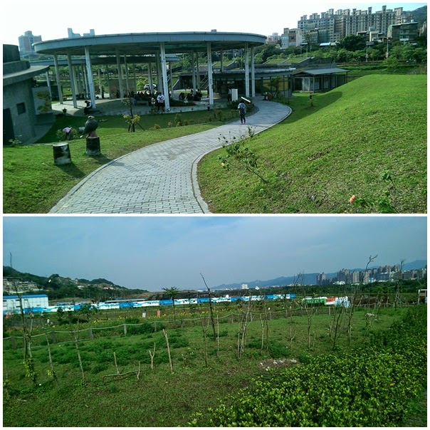 →鶯歌←三鶯藝術村。看彩色風車曬太陽真舒服