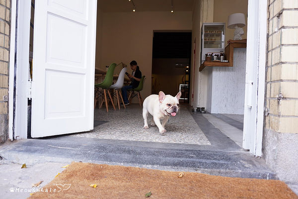 【台中.西區】嗝 gé cafe,活招牌法鬥犬皮皮和八哥犬皮蛋共同經營的寵物咖啡廳。