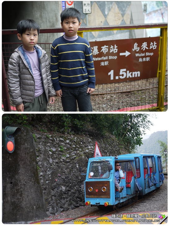 《親子景點》烏來一日遊‧纜車❌台車體驗❌泡湯❌賞野櫻❌啖美食