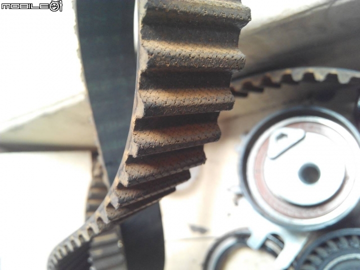 FOCUS TDCI MK2 正時皮帶更換104.04.02