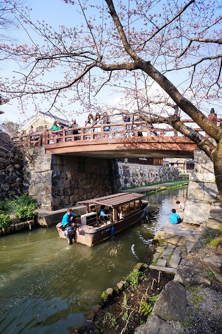 104/03/31 關西の獨自旅行-長浜、彥根、近江八幡