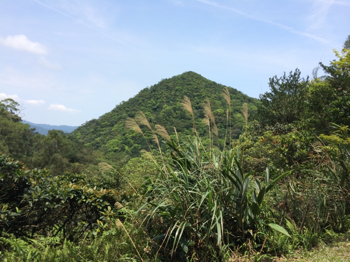 探巡山與溪流的美景...小折3度探訪 東湖-宜蘭大溪漁港 2015.03.30