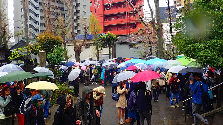 大屌神社(誤) かなまら祭り全日本壓馬路(株)