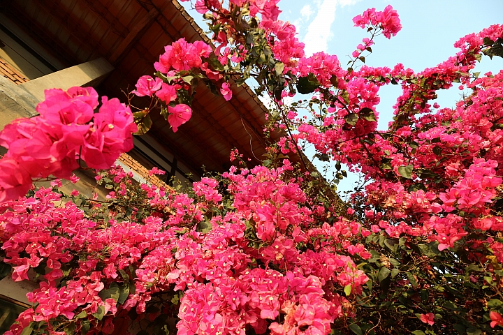 功能全面進化 支援翻轉自拍‧Canon EOS M3