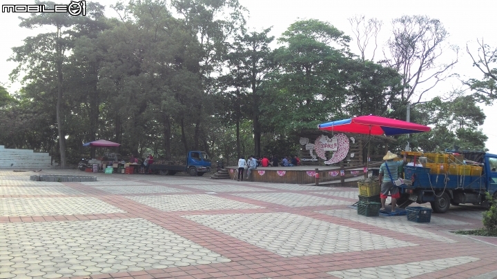 2015古坑鄉荷苞山桐花祭