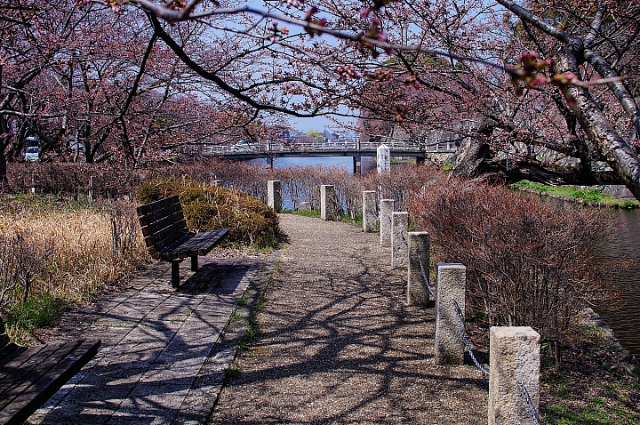 104/03/31 關西の獨自旅行-長浜、彥根、近江八幡