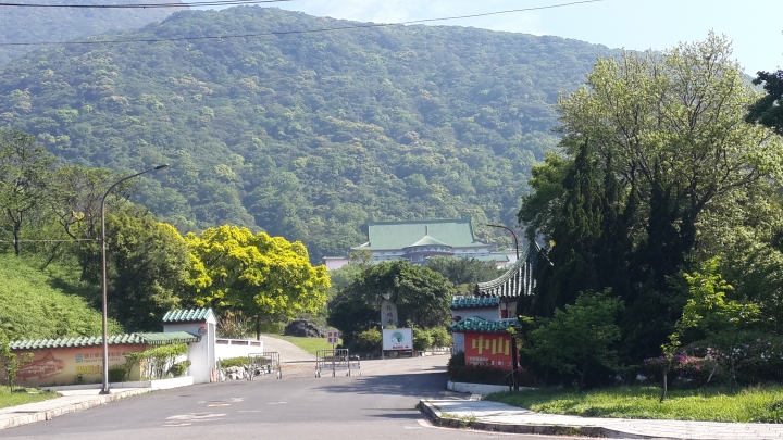 粉嶺族~單車拼圖最後一塊~陽金P字道~