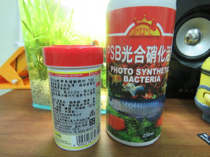 水族新手入門!初試孔雀魚!!