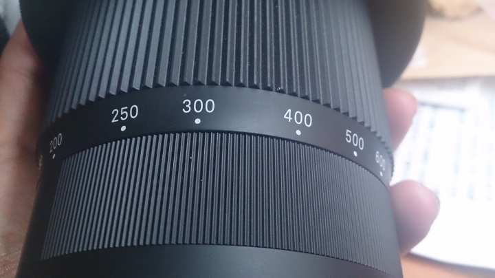 鳥攝初心者的墊腳石 - sigma150-600mm Contemporary 使用心得分享