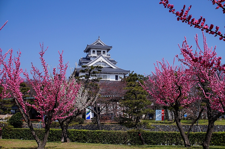 104/03/31 關西の獨自旅行-長浜、彥根、近江八幡