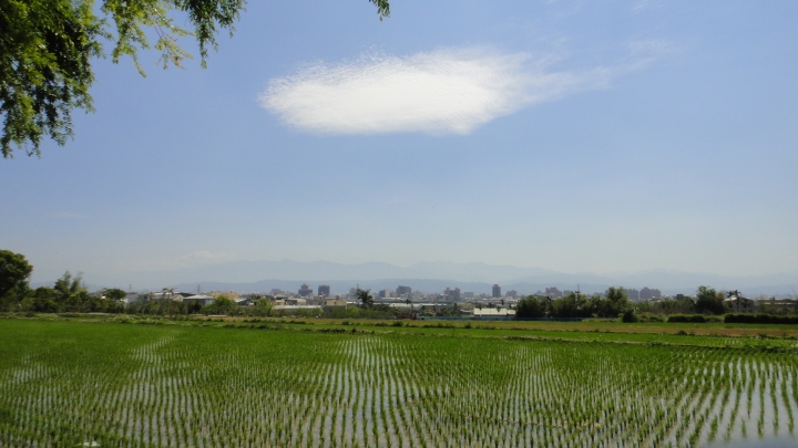 2015-04-03誤入歧途(上集)之大肚山意外發現「大楊油庫」與20多年曾走過的捷徑