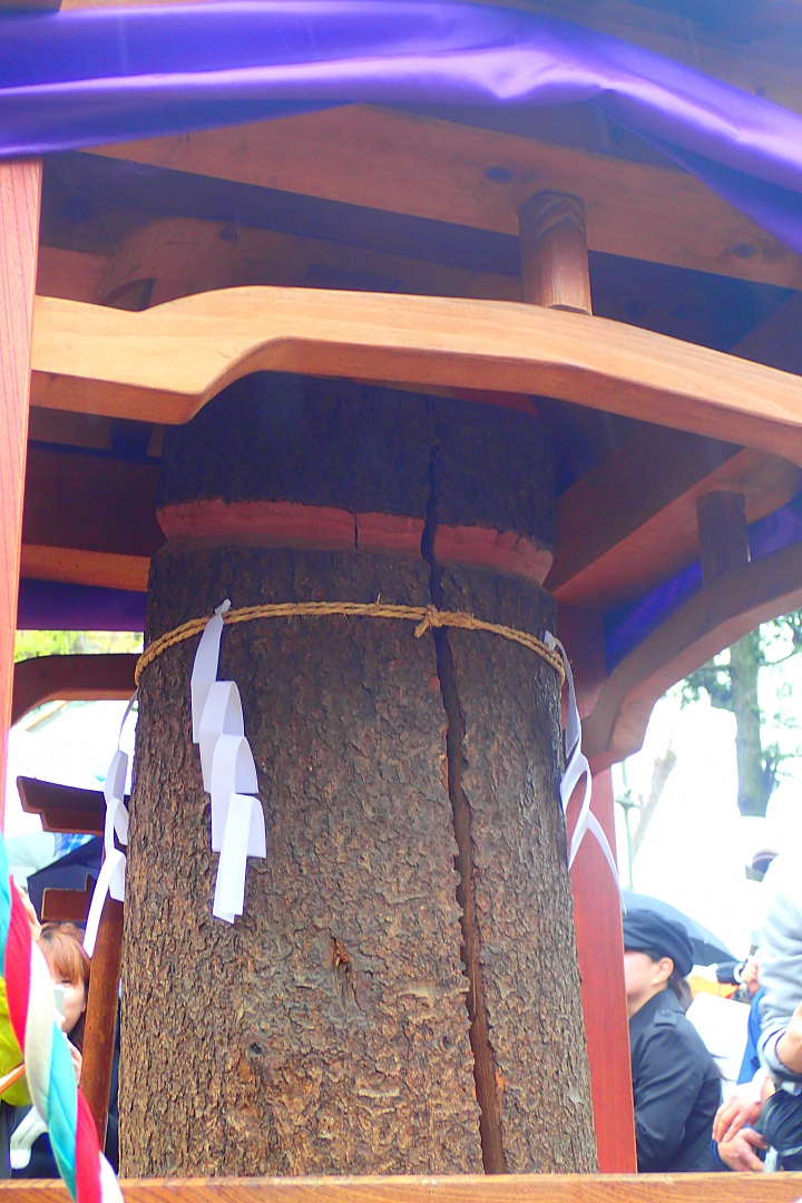 大屌神社(誤) かなまら祭り全日本壓馬路(株)