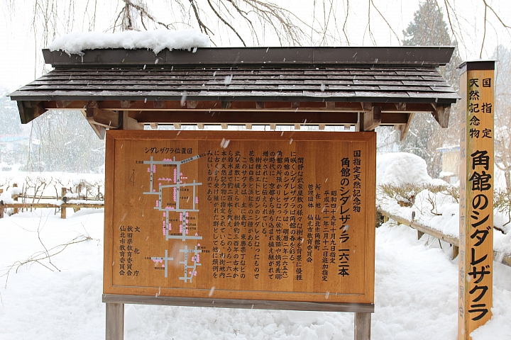 Canon 600D的東日本自由行