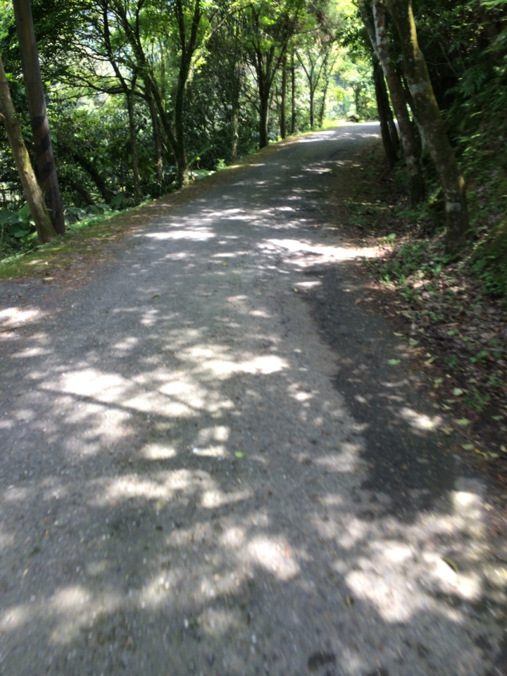 探巡山與溪流的美景...小折3度探訪 東湖-宜蘭大溪漁港 2015.03.30