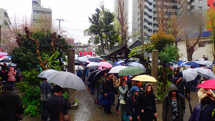 大屌神社(誤) かなまら祭り全日本壓馬路(株)