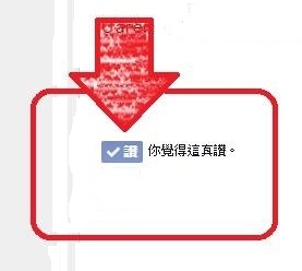 「KIA潮勢力-試駕體驗活動」零壹五小強試乘歐風七人座MPV Carens