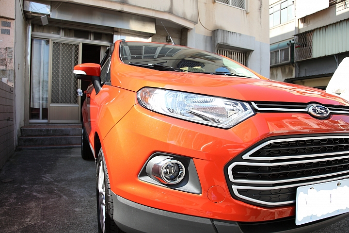 Ecosport 晚一年的購車心得+近期被狗咬更新