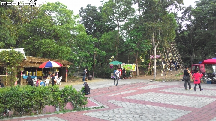 2015古坑鄉荷苞山桐花祭