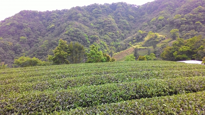 一滴水的旅程(新手發文,圖多文也多)