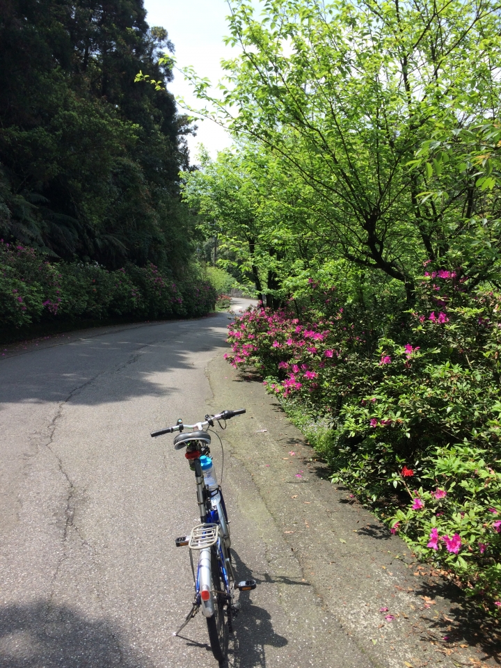 探巡山與溪流的美景...小折3度探訪 東湖-宜蘭大溪漁港 2015.03.30