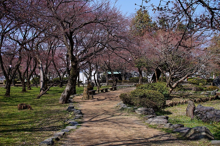 104/03/31 關西の獨自旅行-長浜、彥根、近江八幡