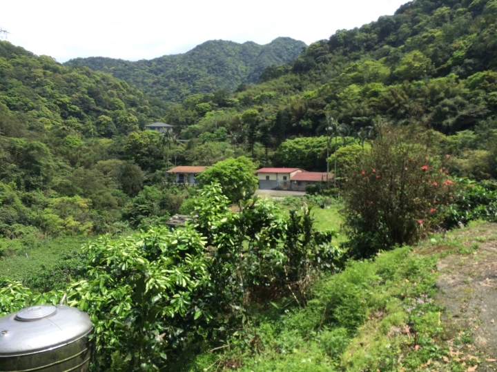探巡山與溪流的美景...小折3度探訪 東湖-宜蘭大溪漁港 2015.03.30