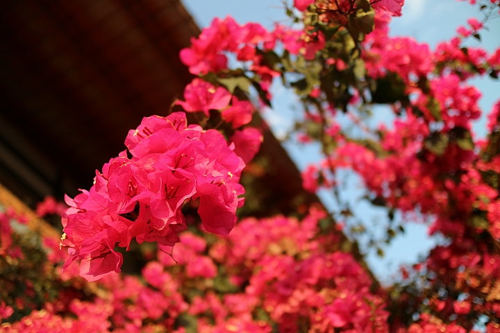 功能全面進化 支援翻轉自拍‧Canon EOS M3