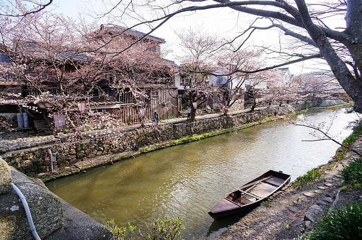 104/03/31 關西の獨自旅行-長浜、彥根、近江八幡