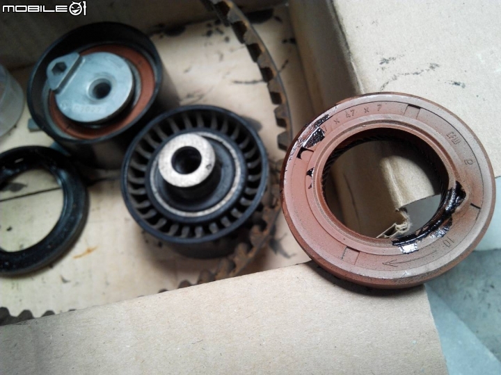FOCUS TDCI MK2 正時皮帶更換104.04.02