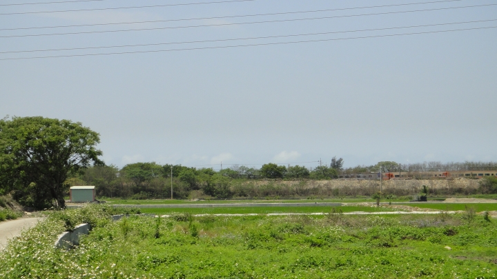 2015-04-03誤入歧途(上集)之大肚山意外發現「大楊油庫」與20多年曾走過的捷徑