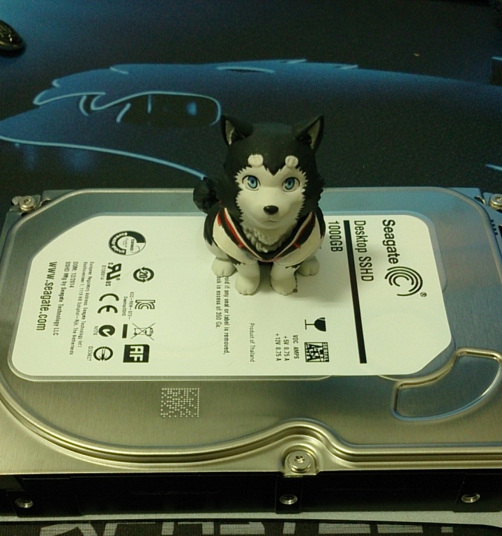 唉呦~這顆混得很不錯----Seagate SSHD 1T ST1000DX001