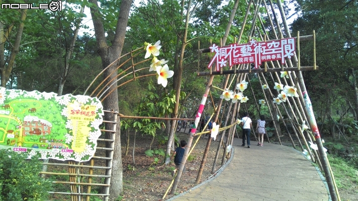 2015古坑鄉荷苞山桐花祭