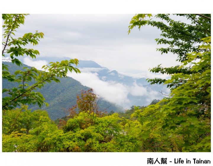 【南投縣仁愛鄉(清境) - 住宿】 清境避暑 # 龍莊日式會館 #(山景.窯烤.晚餐)