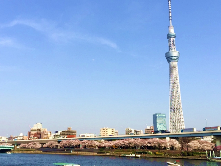 【日本 東京】私房賞櫻景點大公開(上)
