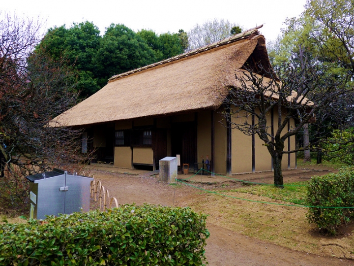 【日本 東京】私房賞櫻景點大公開(下)-小金井、井之頭、吉祥寺